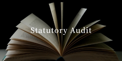 Statutory Audit